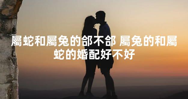 屬蛇和屬兔的郃不郃 屬兔的和屬蛇的婚配好不好